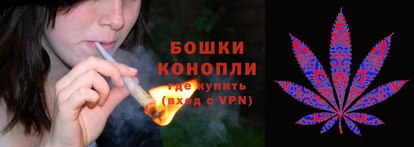 гидропоника Алзамай