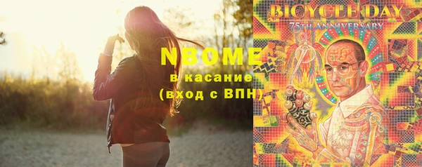 прущие грибы Осинники